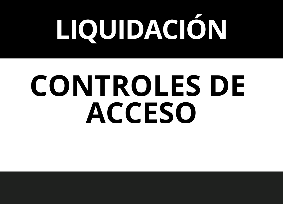 LIQUIDACION CONTROLES DE ACCESO